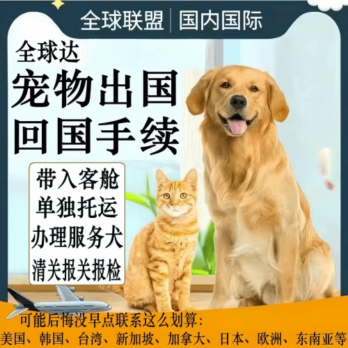 澄迈县宠物托运到柬埔寨宠物入境规定和要求